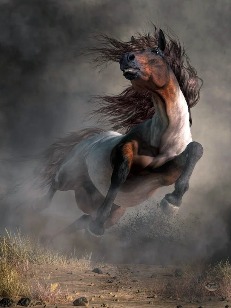 Лошадь в тумане. Красивое животное