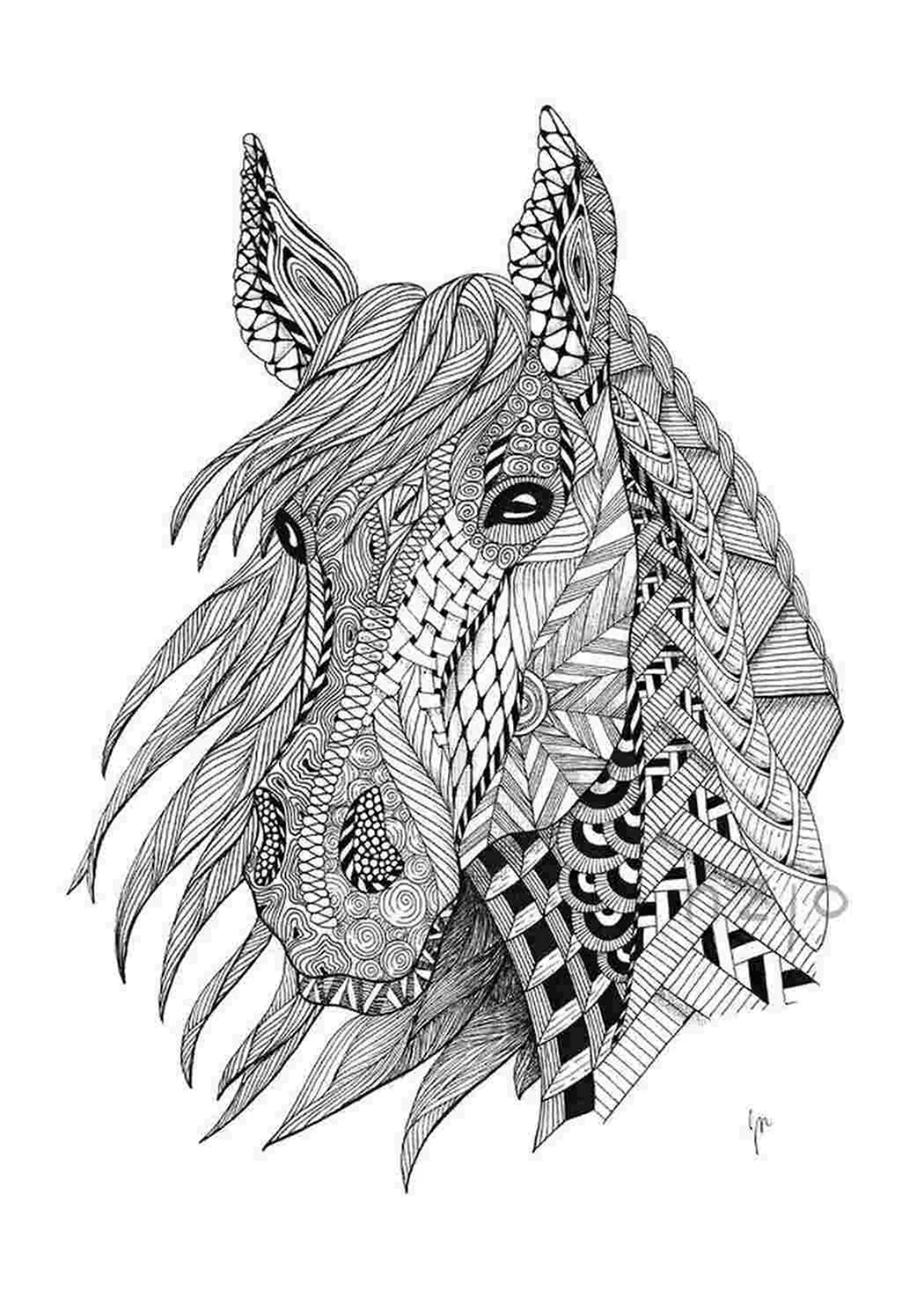 Лошадь Зентангл. Красивое животное