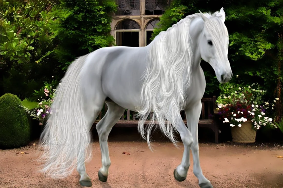 Лошади породы фриз альбинос. Красивое животное