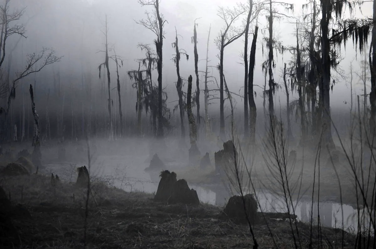 Луизианский болотный монстр. Картинка