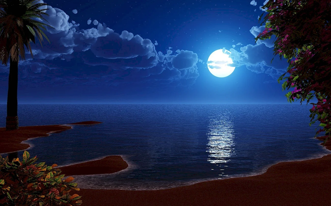 Луна и море. Красивая картинка