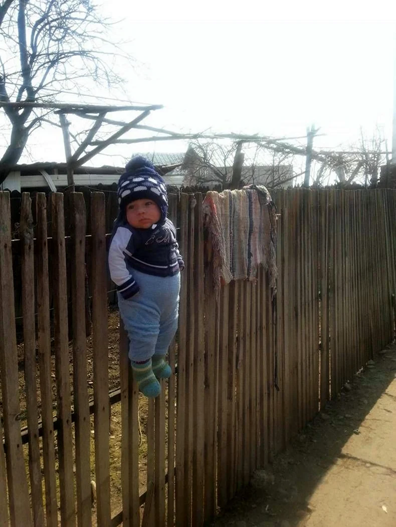 Мальчик на заборе. Прикольная картинка