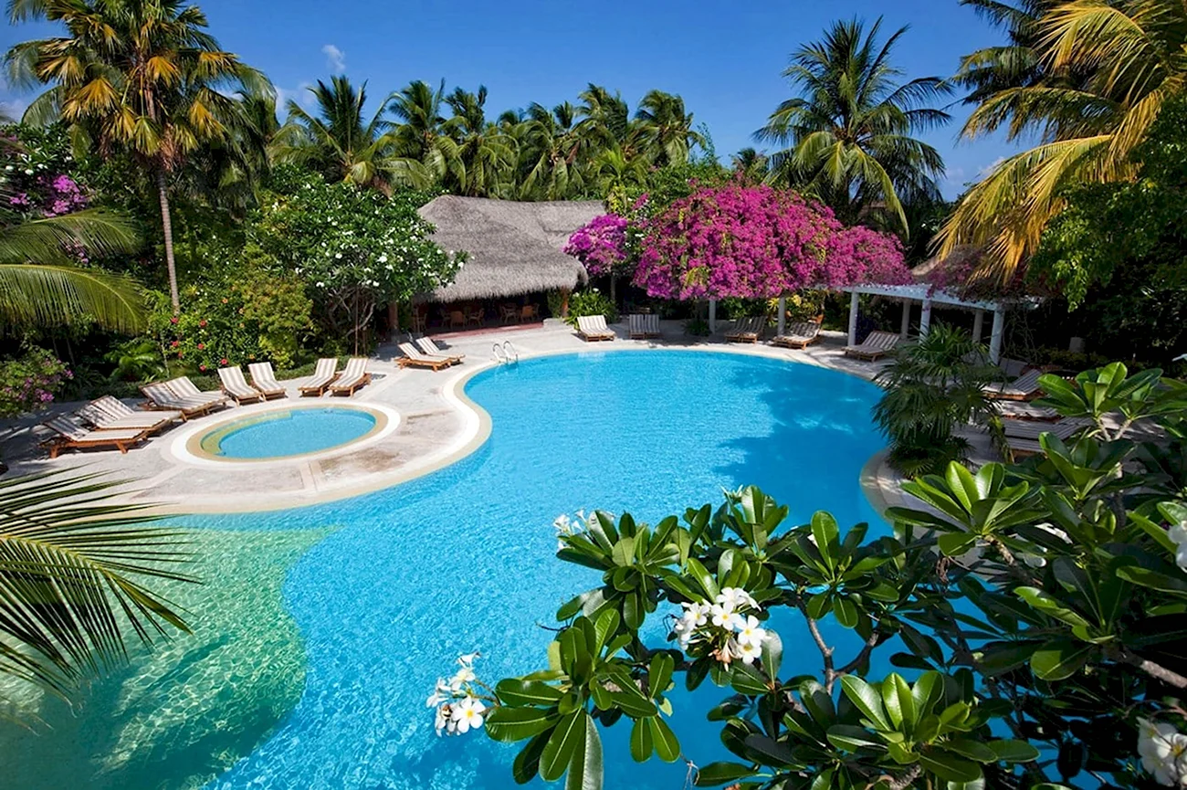 Мальдивы пальмы бунгало бассейн. Красивая картинка