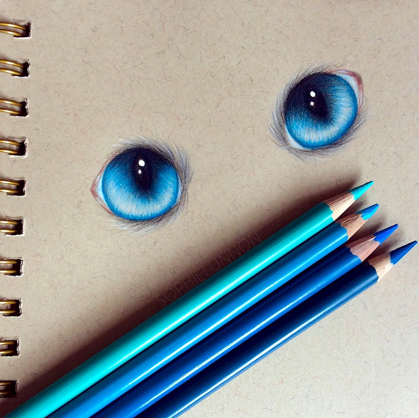 Маленькие рисунки цветными карандашами. Для срисовки