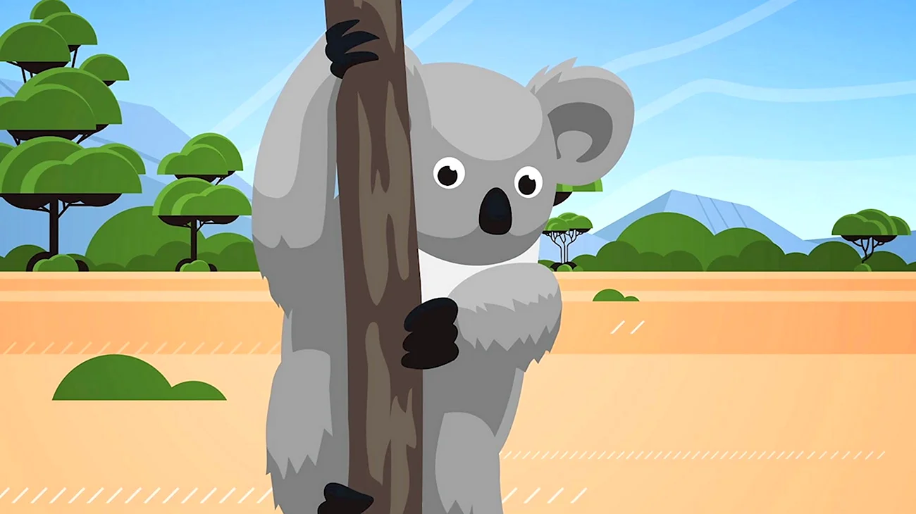 Малыш коала мультфильм. Картинка из мультфильма