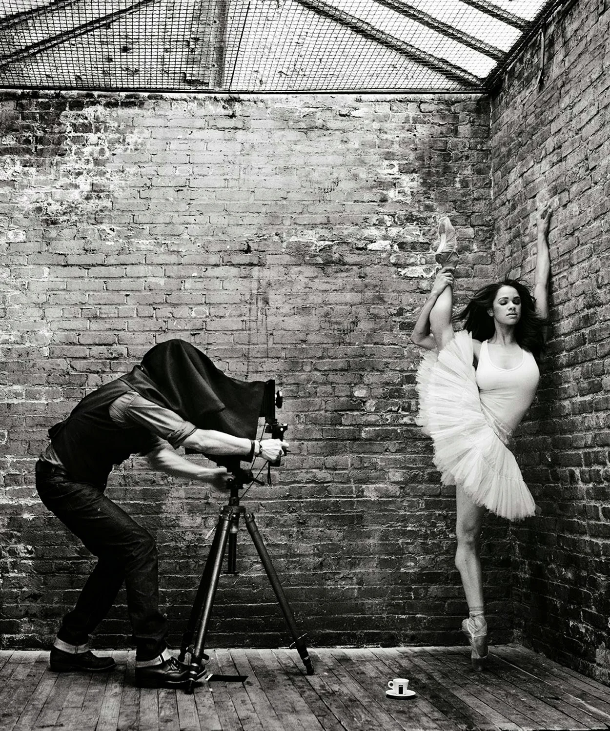 Марк Селигер балерина и фотограф. Красивая картинка
