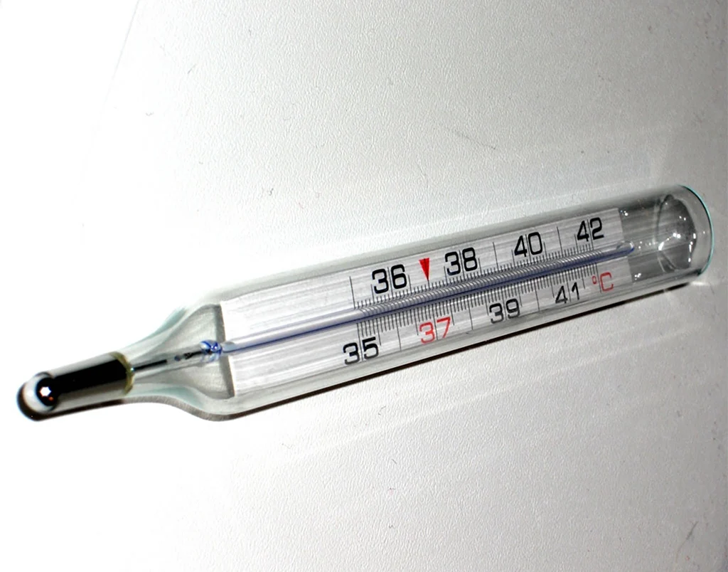 Медицинский градусник ртутный шкала. Картинка