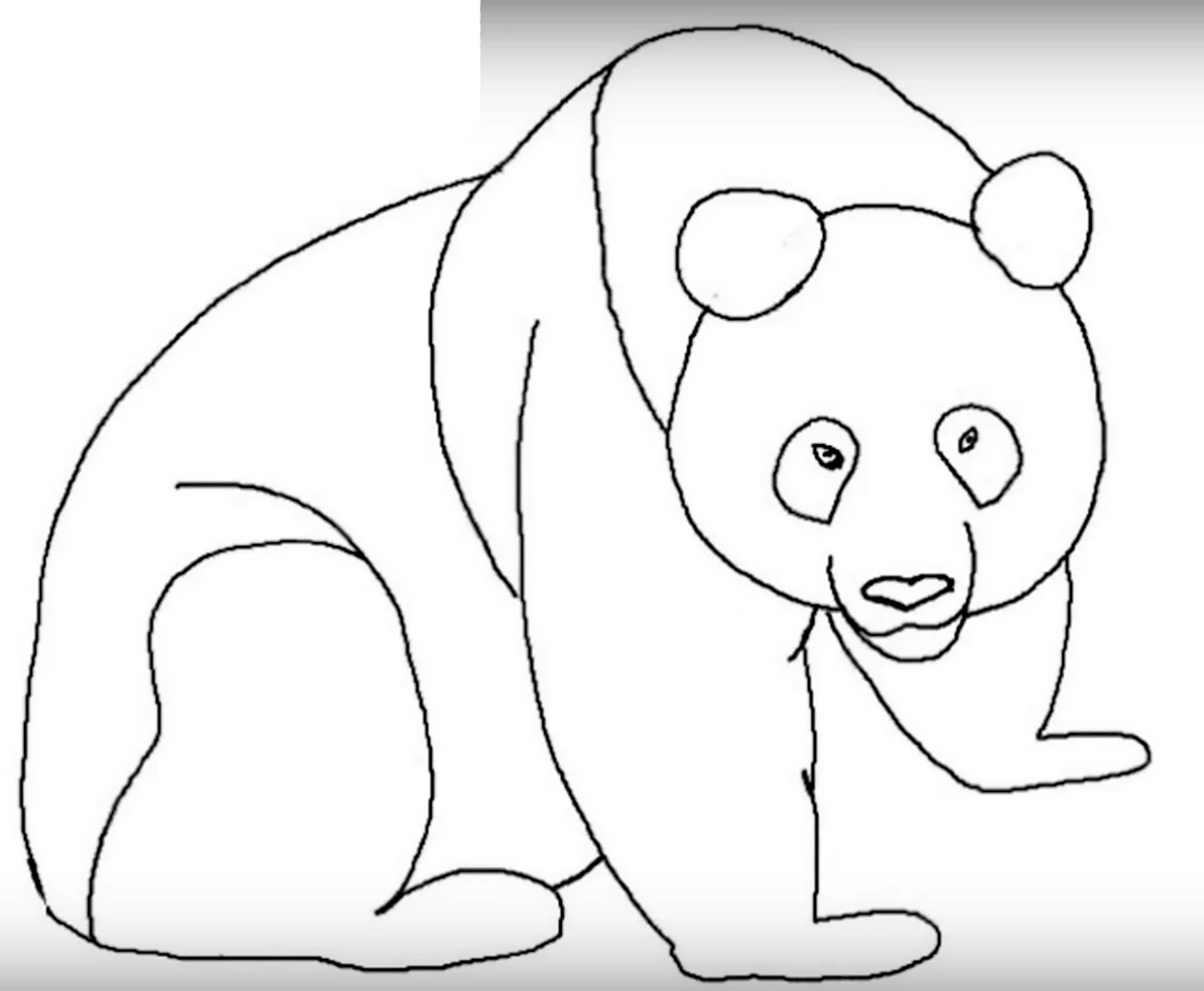 Медведь карандашом для детей. Для срисовки