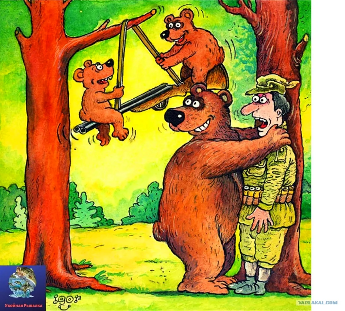 Медведь карикатура. Картинка