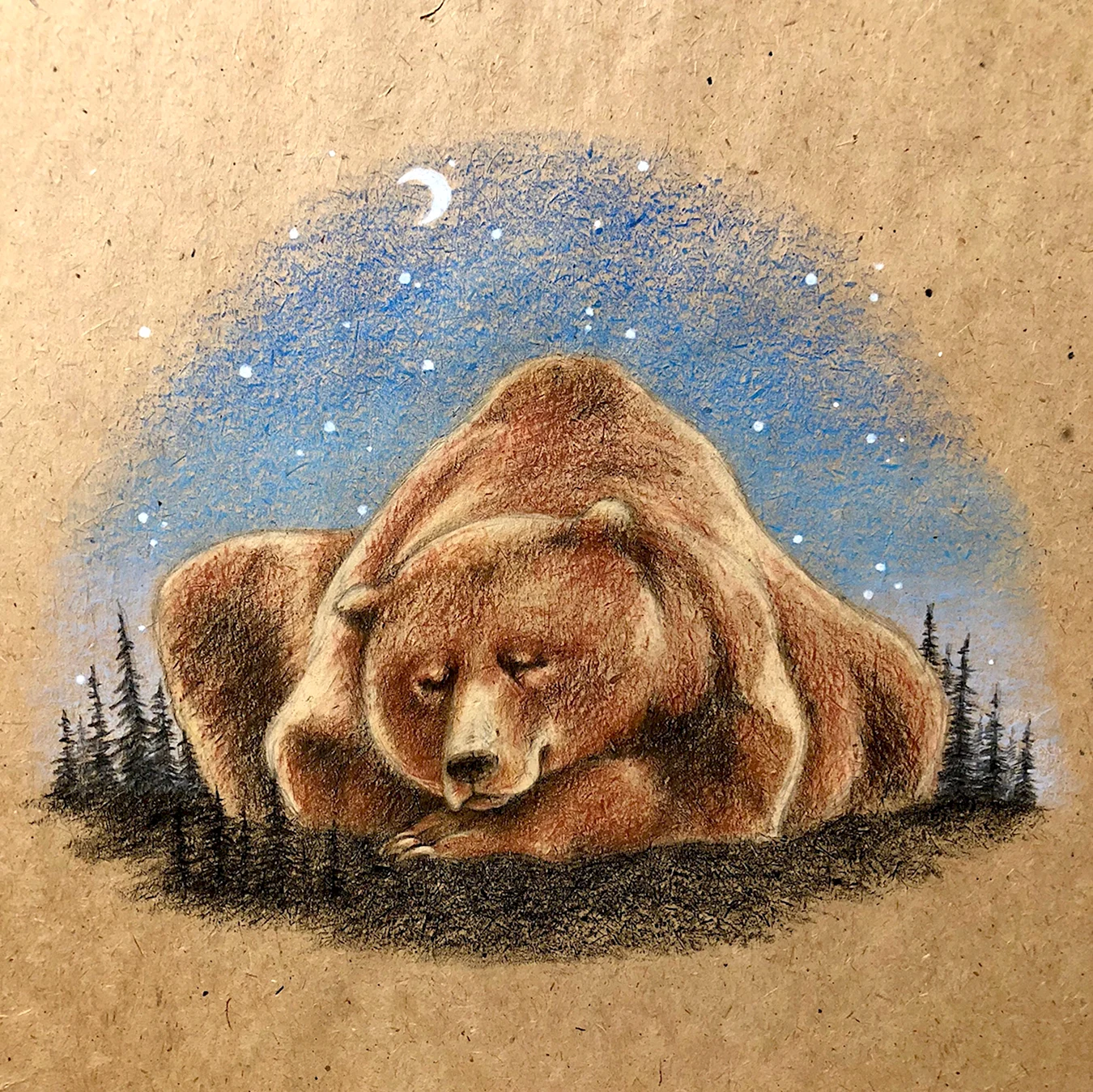 Медведь цветными карандашами. Для срисовки