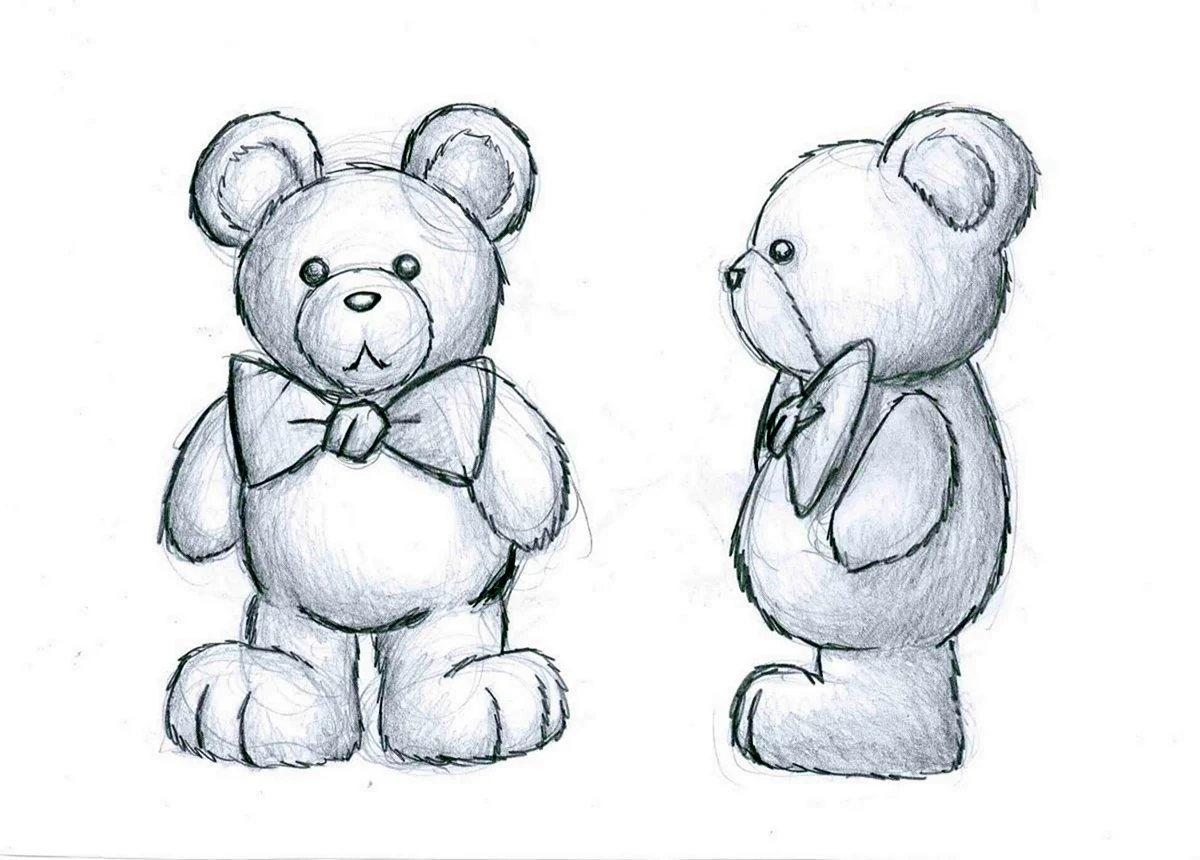 Медвежонок рисунок карандашом. Для срисовки