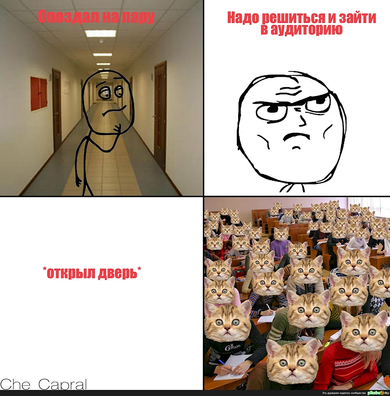 Мемы про университет. Картинка