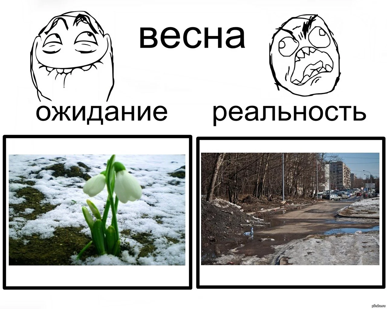 Мемы про весну. Картинка