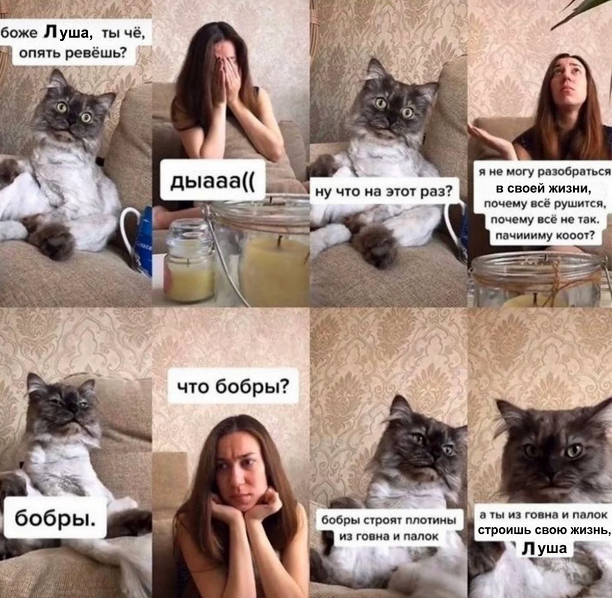 Мемы с котиками про отношения смешные. Прикольная картинка