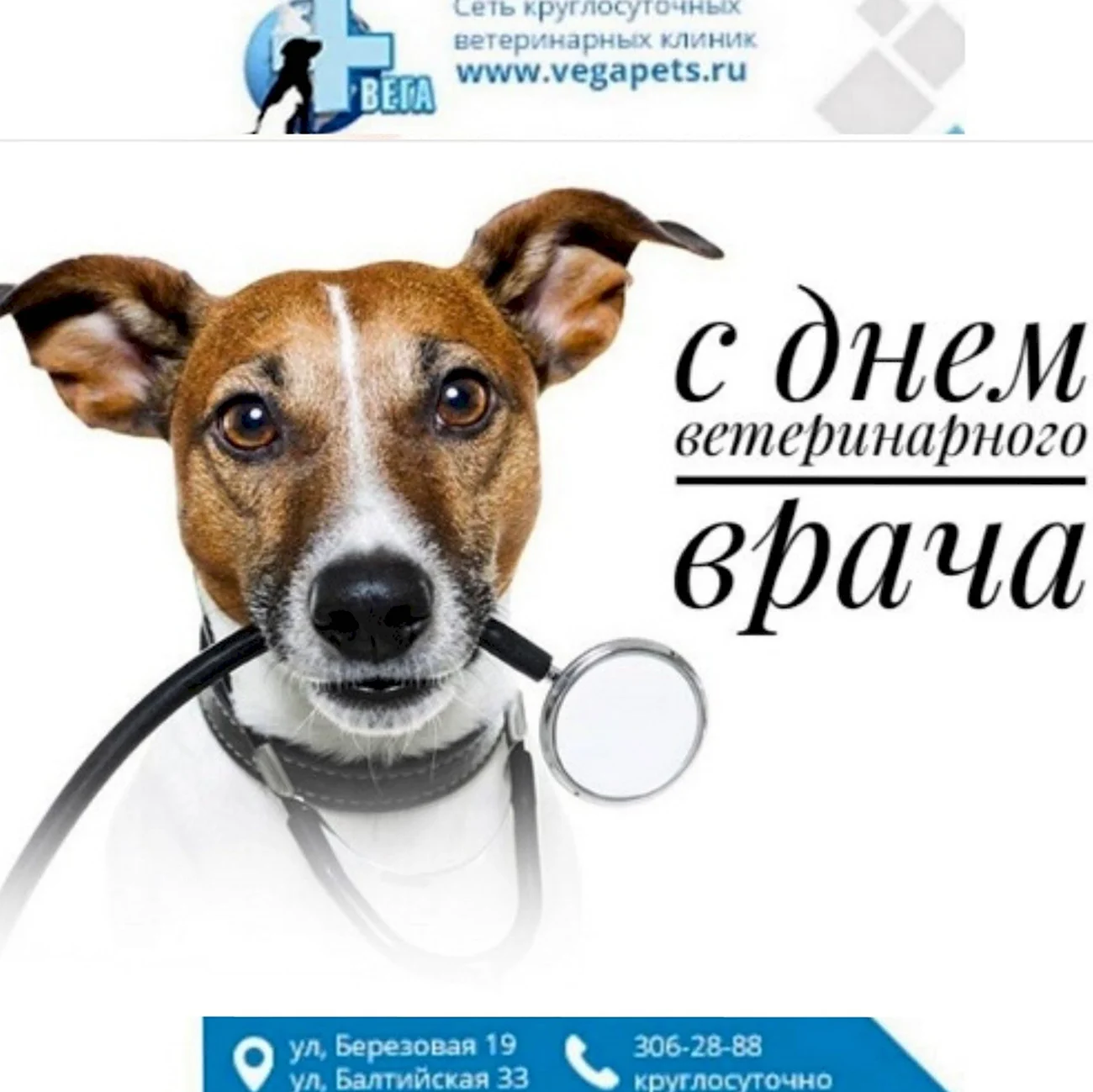 Международный день ветеринарного врача World Veterinary Day. Поздравление
