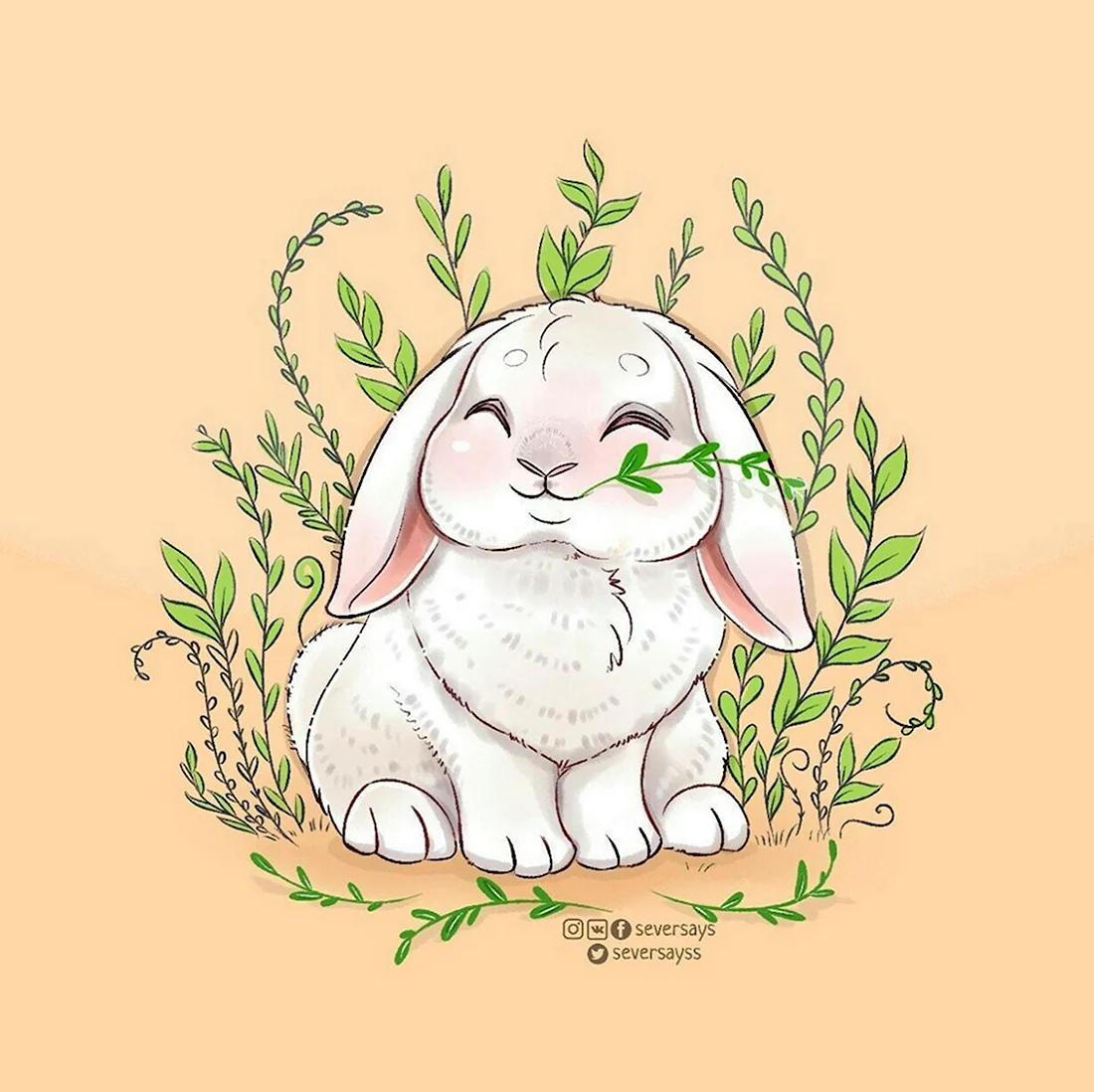 Милые кролики рисунки. Красивые картинки животных