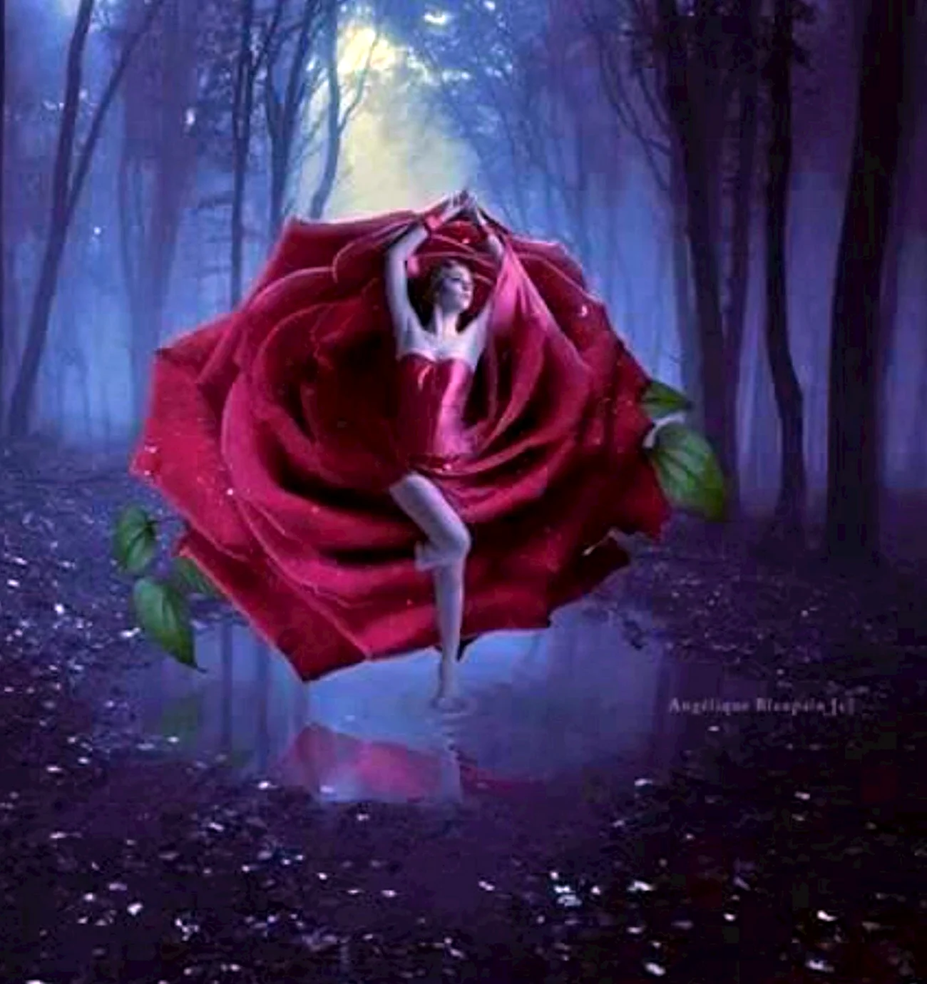 Мистическая роза. Красивая картинка