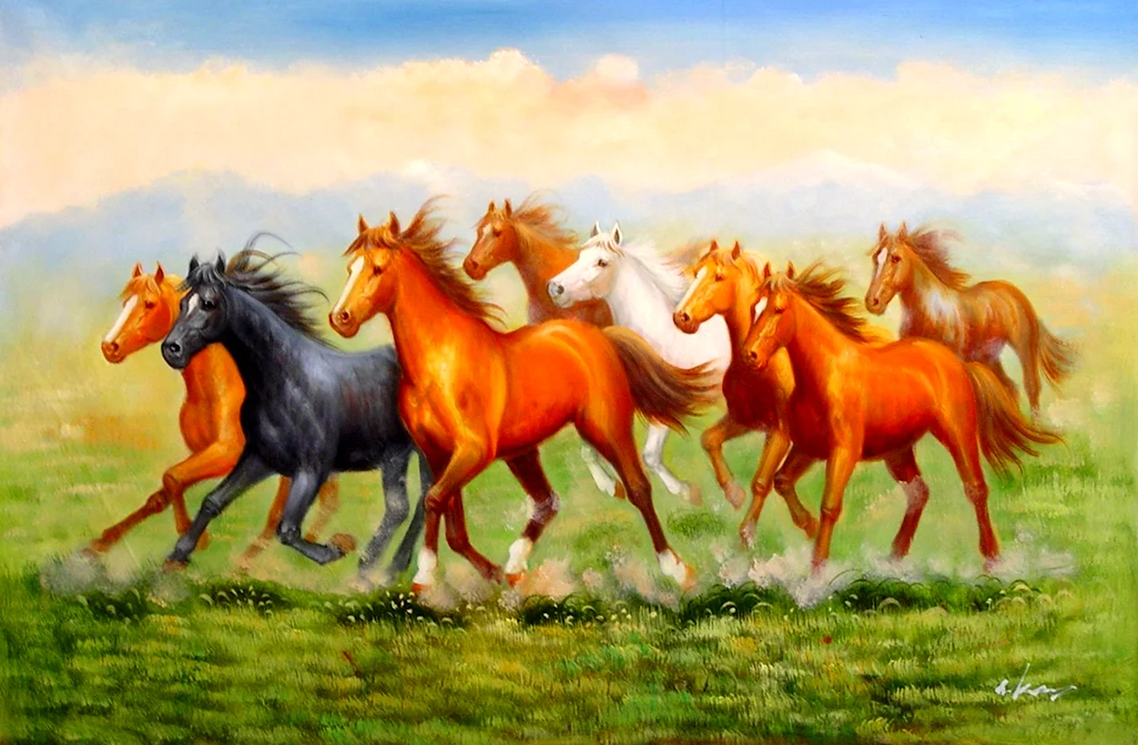 Много лошадей. Красивое животное