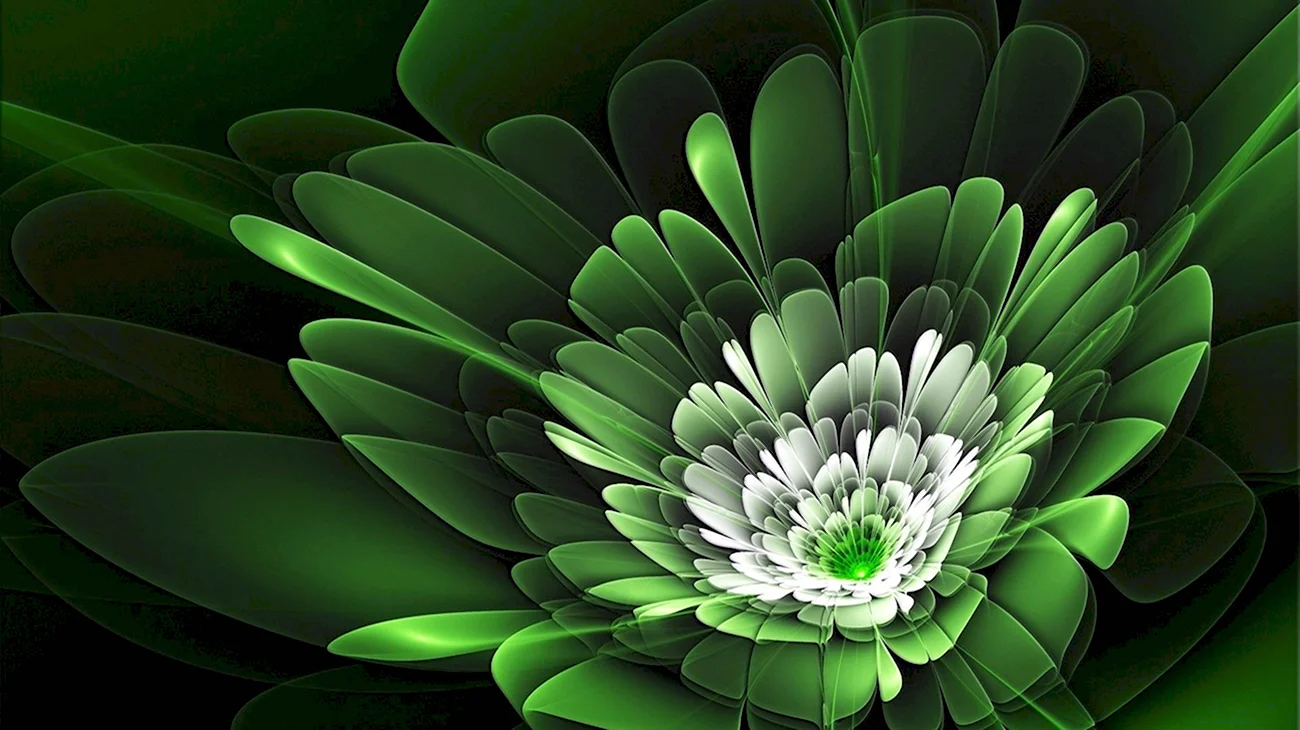 Моника Анафония зеленые цветы. Красивая картинка