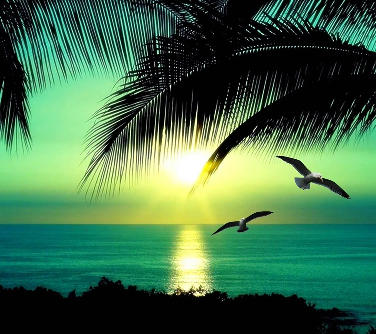 Море пальмы. Красивая картинка