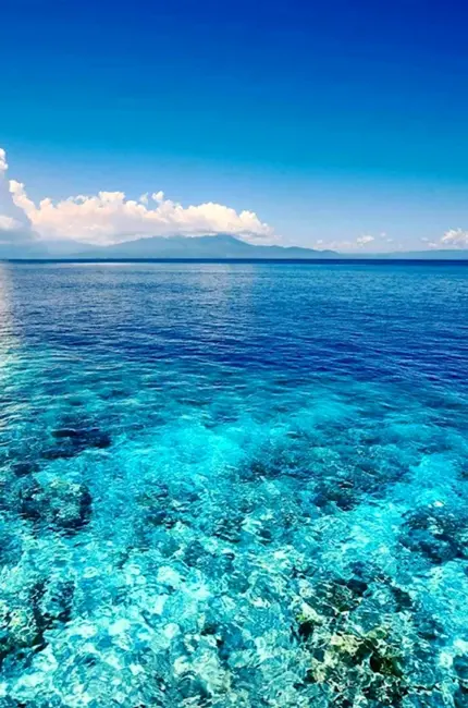 Море Сулавеси. Картинка