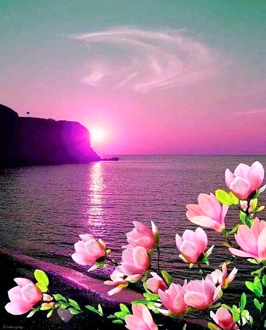 Море цветов. Красивая картинка