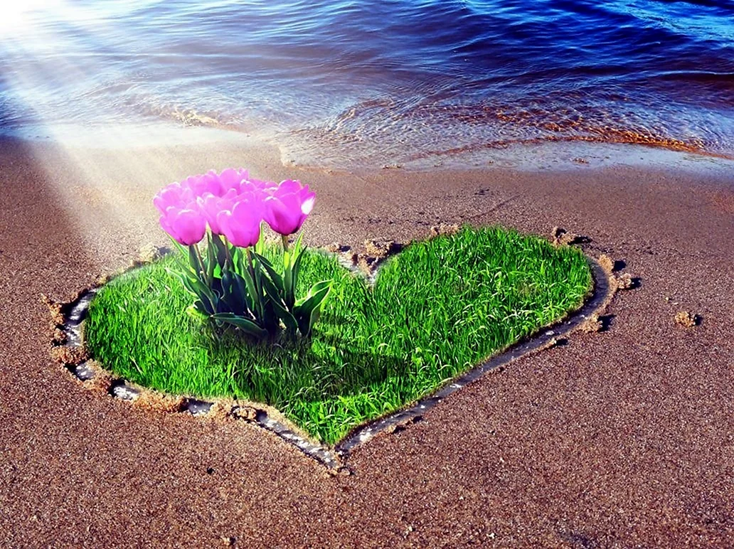 Море цветов и любви. Красивая картинка