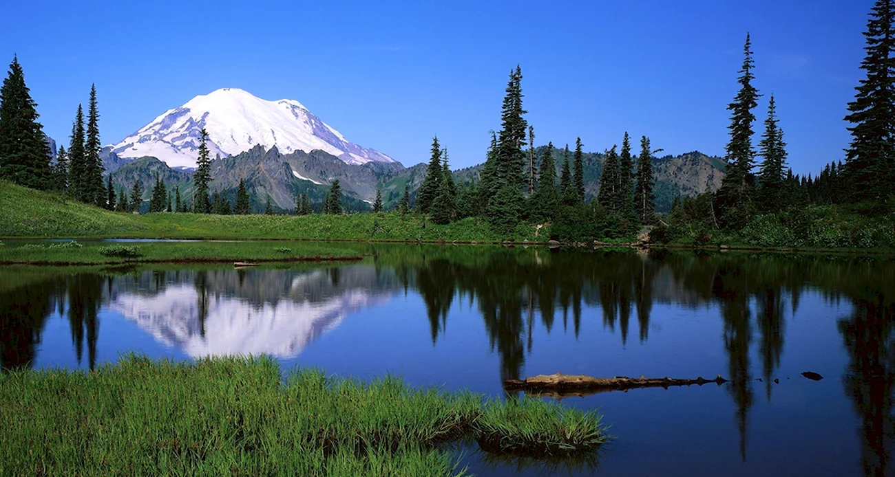 Mount Rainier National Park гора.. Красивая картинка