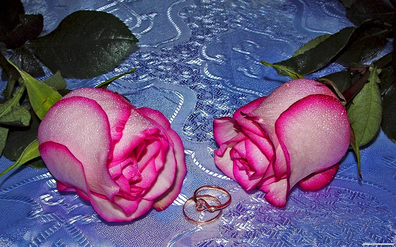 Мыльные розы. Красивая картинка