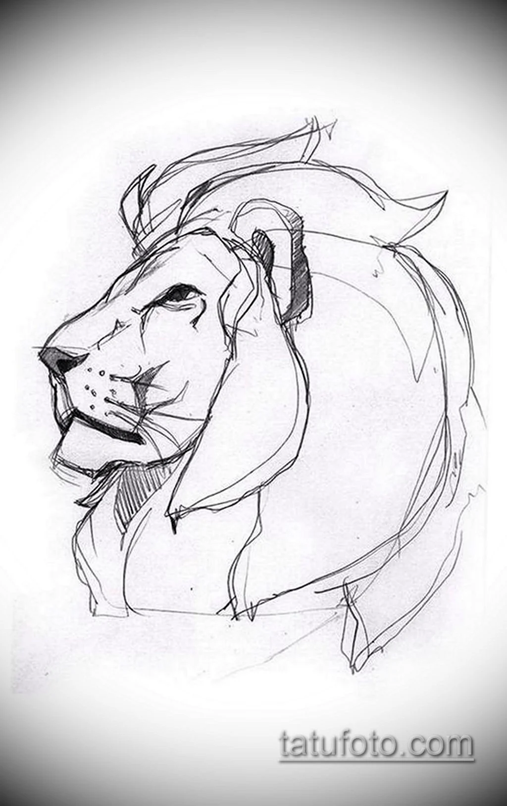 Набросок для рисования Льва. Для срисовки