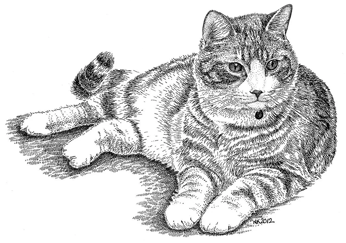 Нарисованные коты. Красивые картинки животных