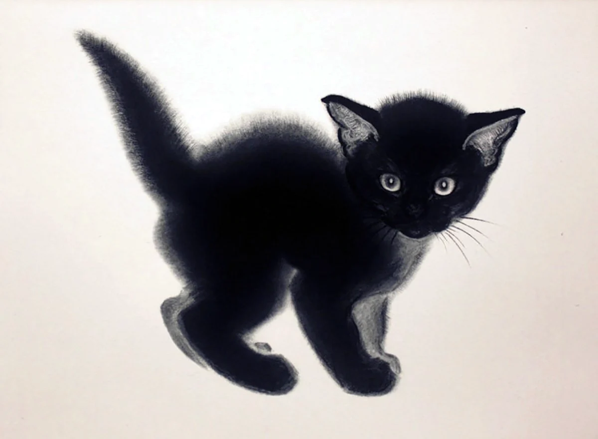 Нарисованный черный кот. Для срисовки