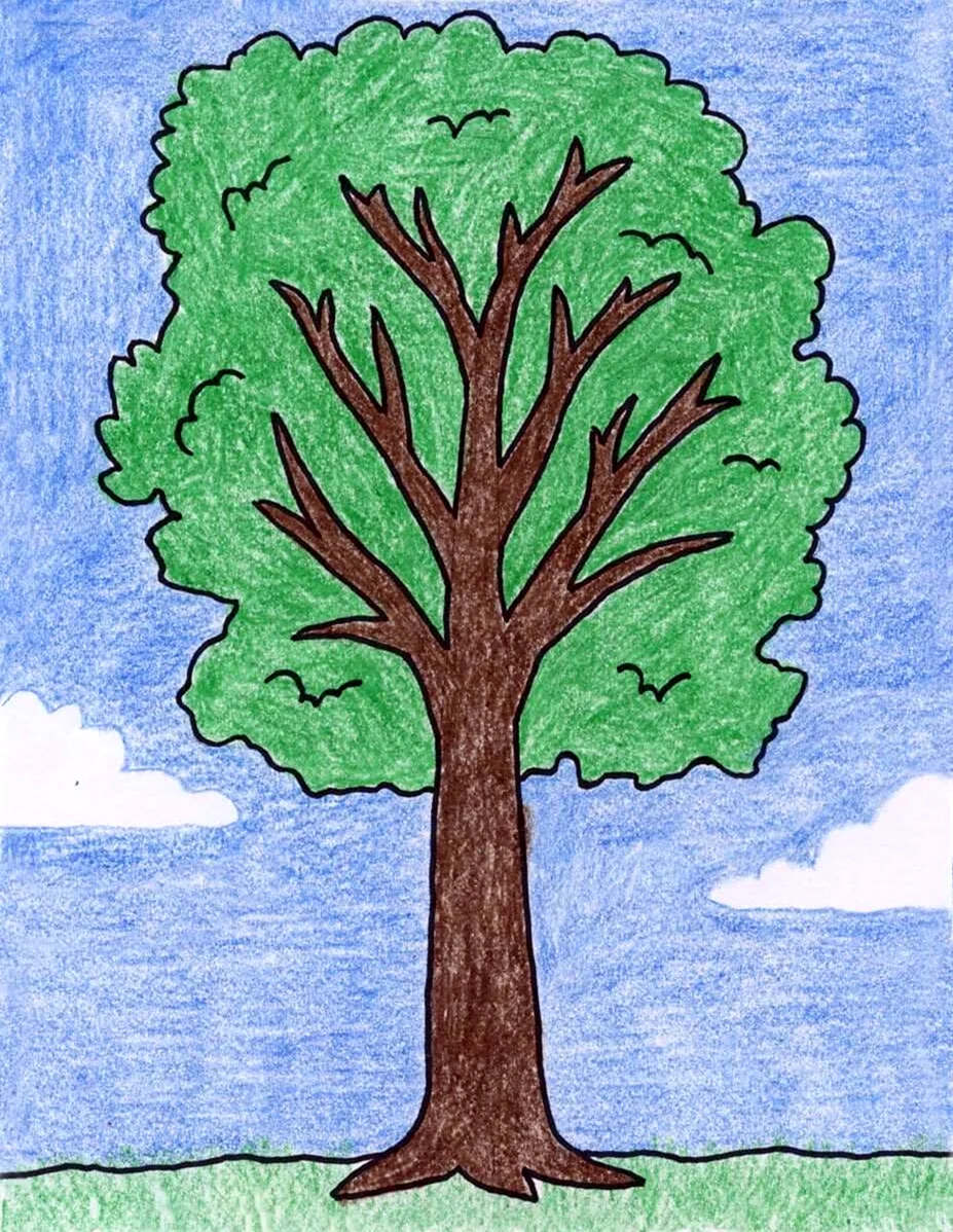 Нарисовать дерево. Для срисовки