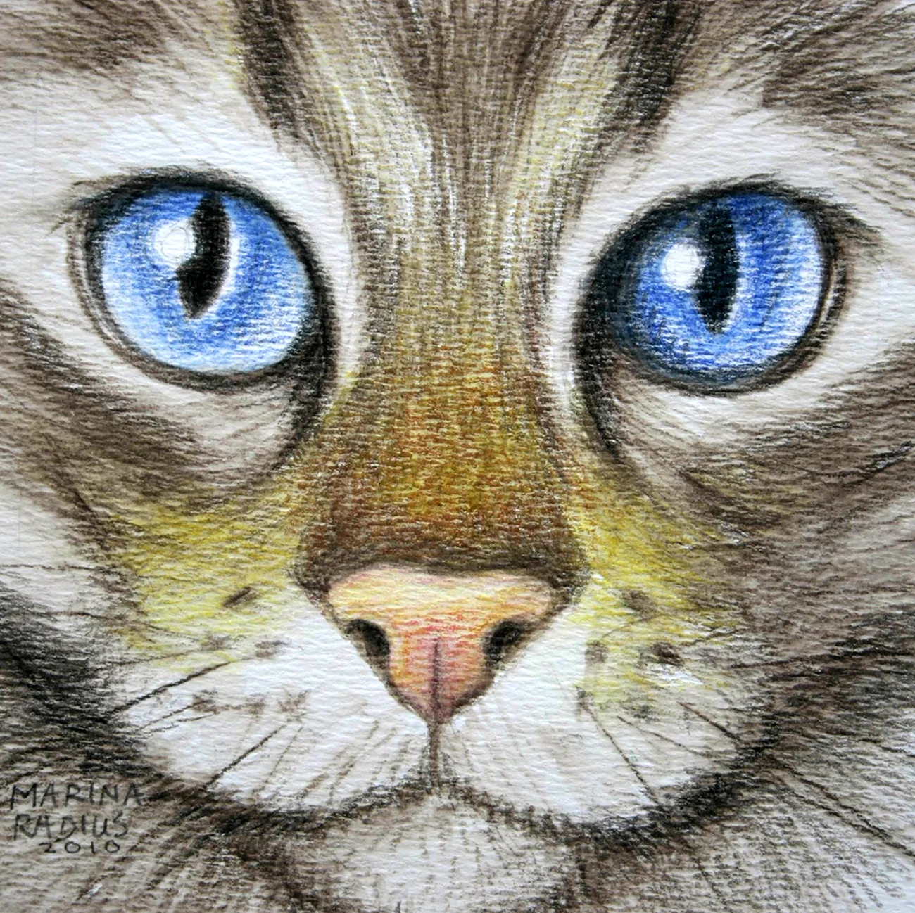 Нарисовать глаза кошки. Для срисовки