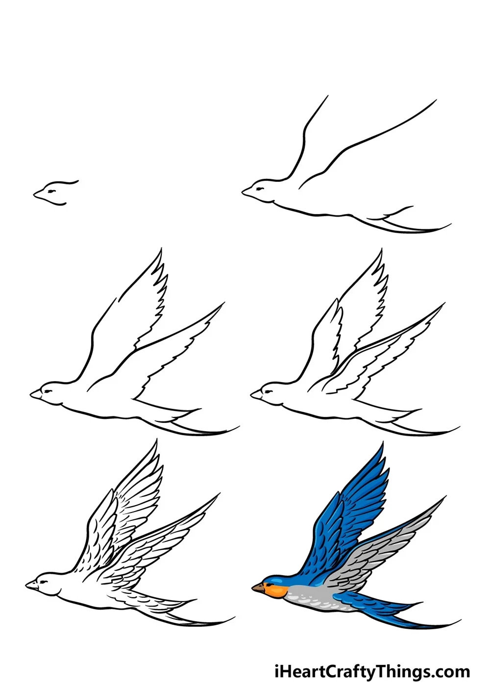 Нарисовать птицу. Для срисовки