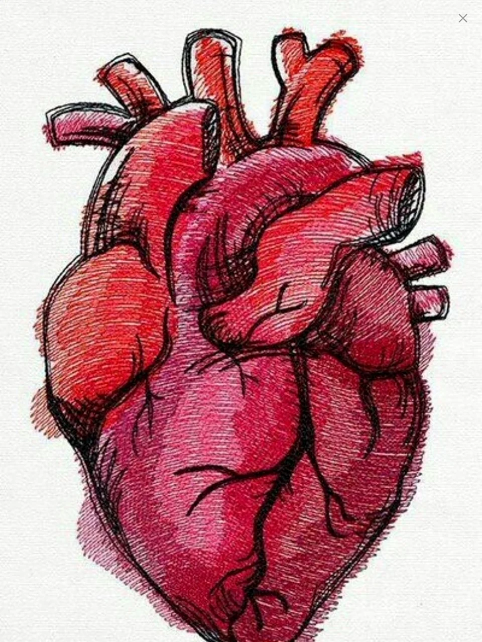 Нарисовать сердце. Для срисовки
