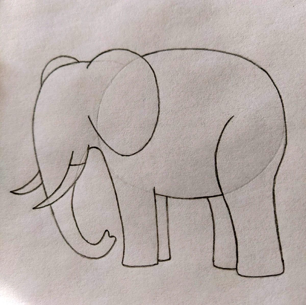 Нарисовать слона. Для срисовки