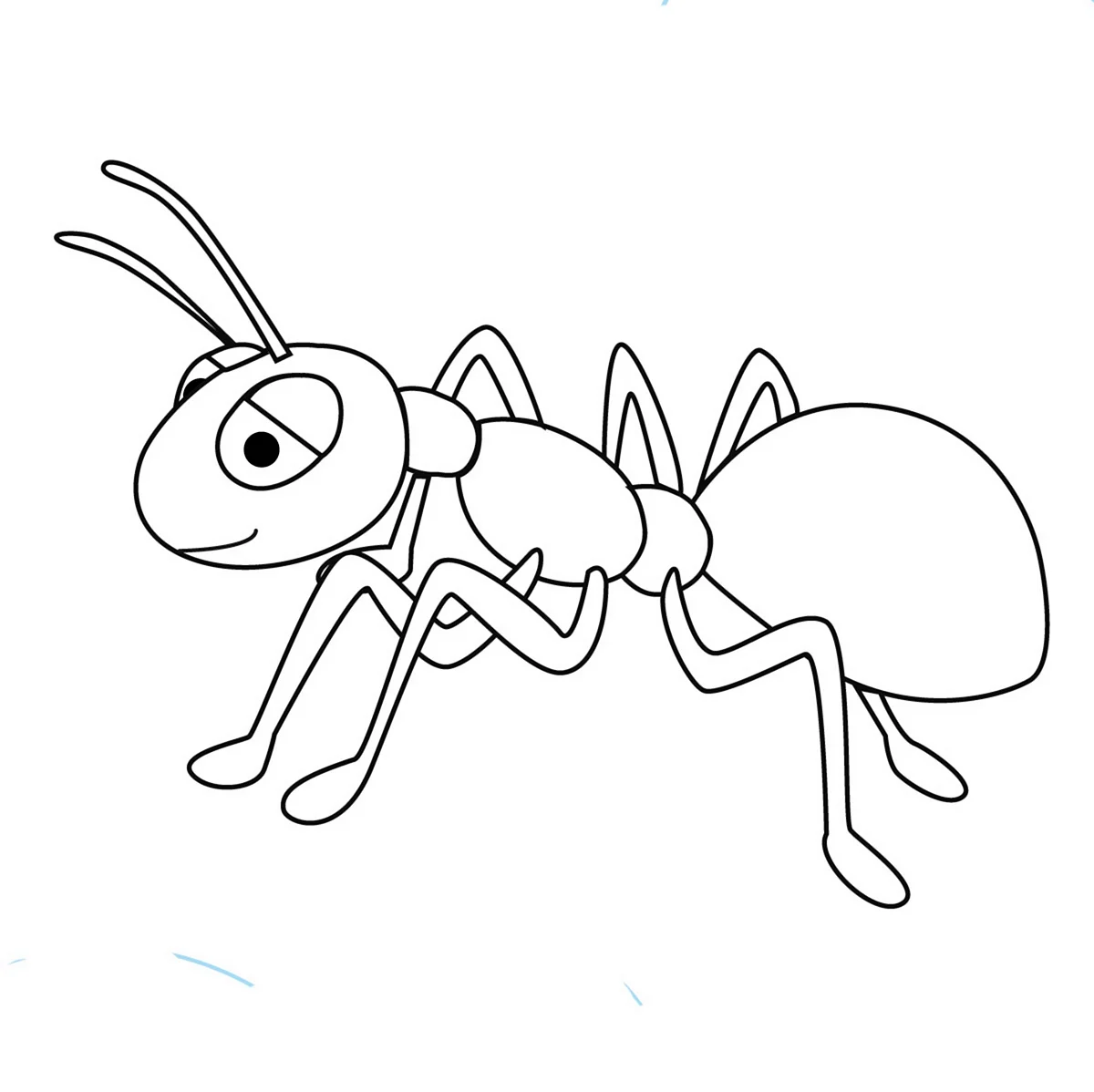 Насекомые муравей раскраска для детей 6-7 лет. Для срисовки