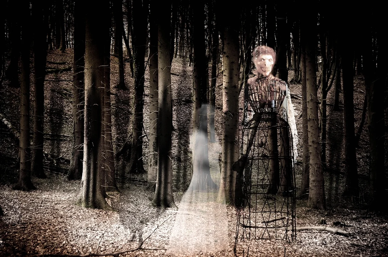 Натали Дормер лес призраков. Картинка
