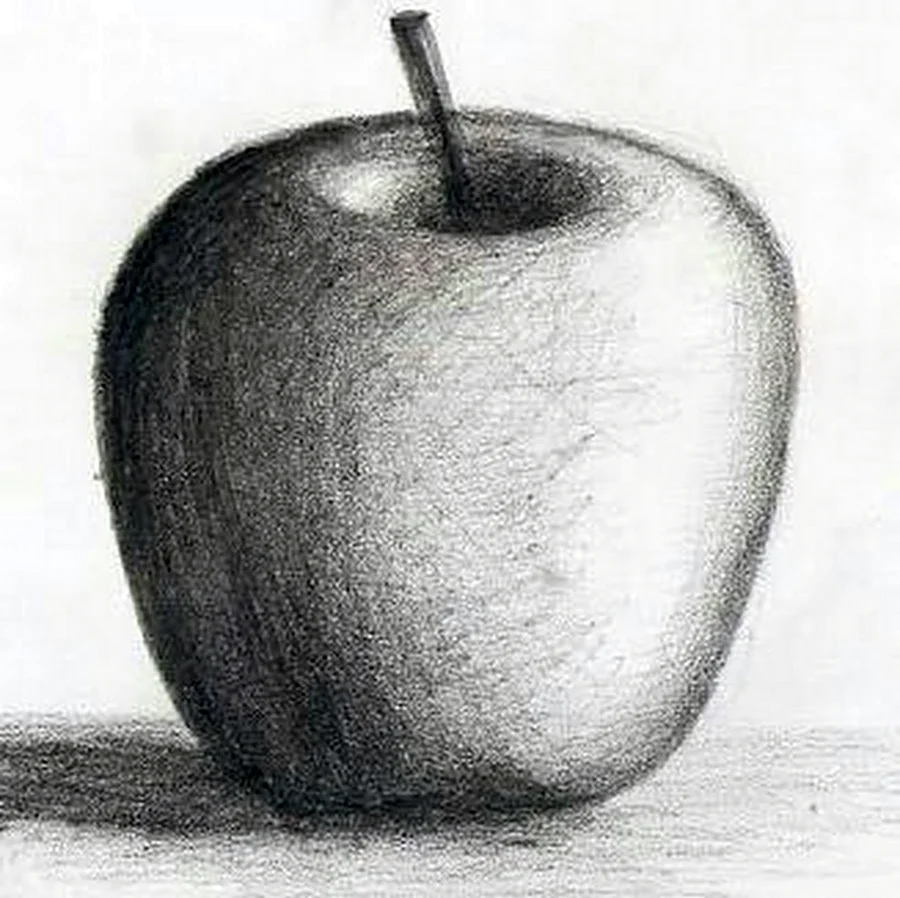 Натюрморт яблоко карандашом. Для срисовки