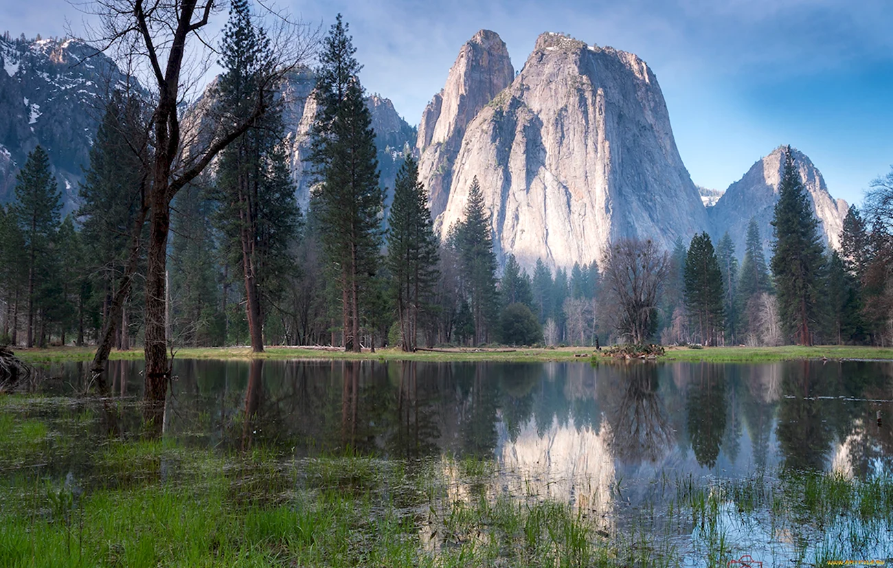 Национальный парк Йосемити штат Калифорния. Красивая картинка