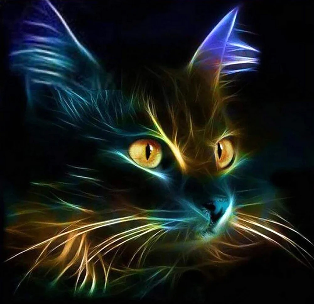 Неоновый кот алмазная мозаика. Красивое животное