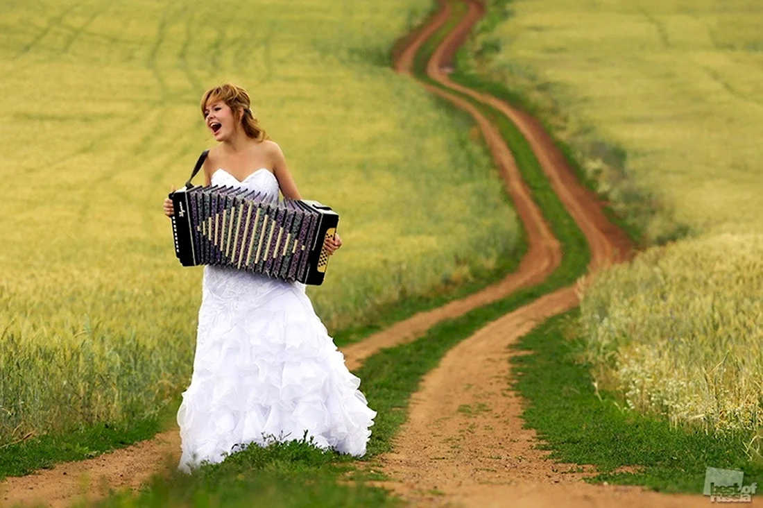 Невеста с баяном в поле. Открытка на каждый день