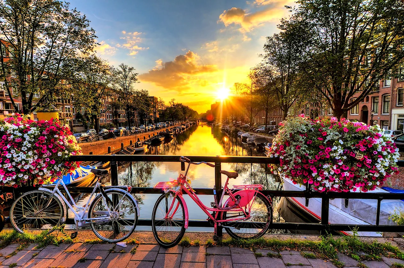 Нидерланды Амстердам. Картинка