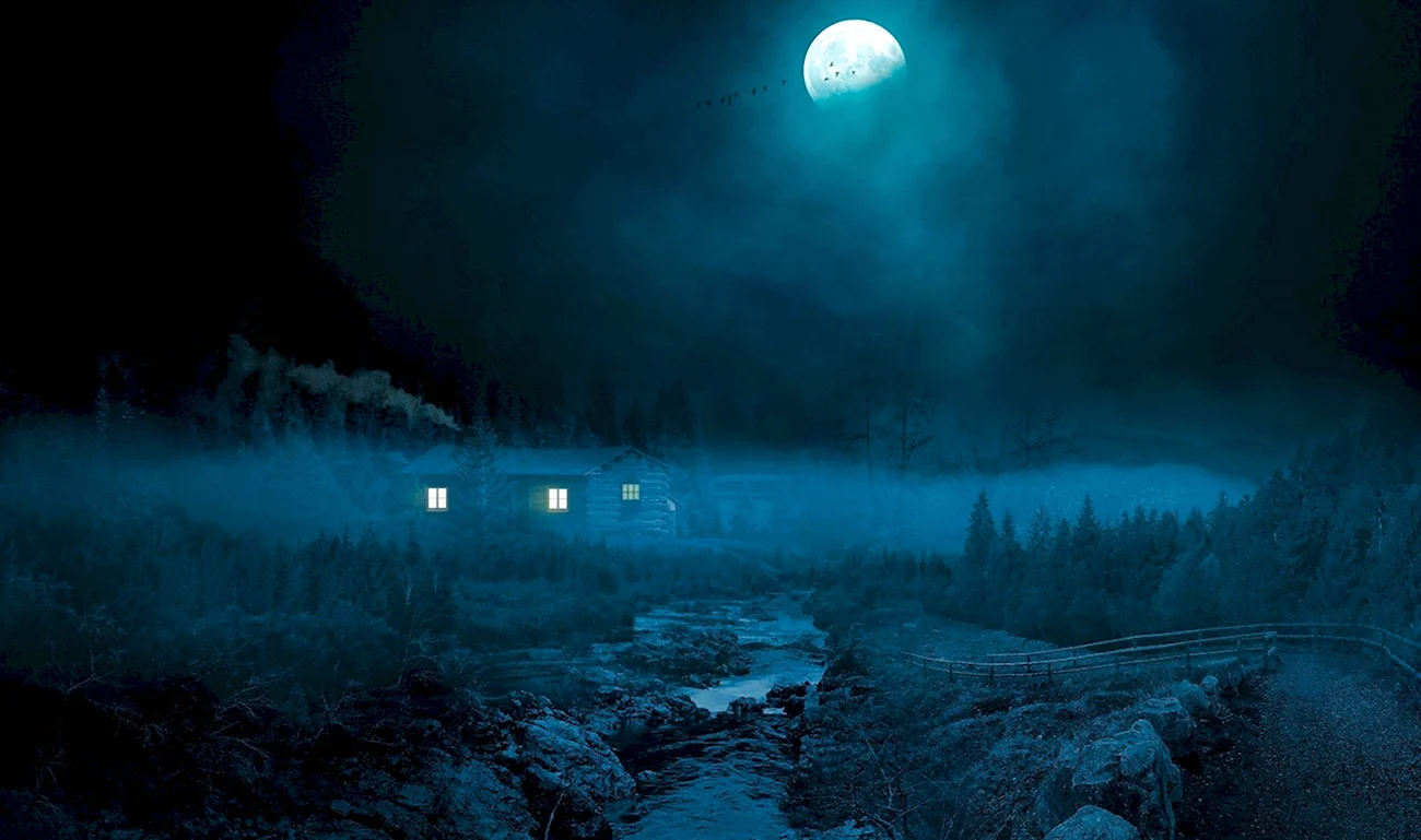 Ночь лес Луна