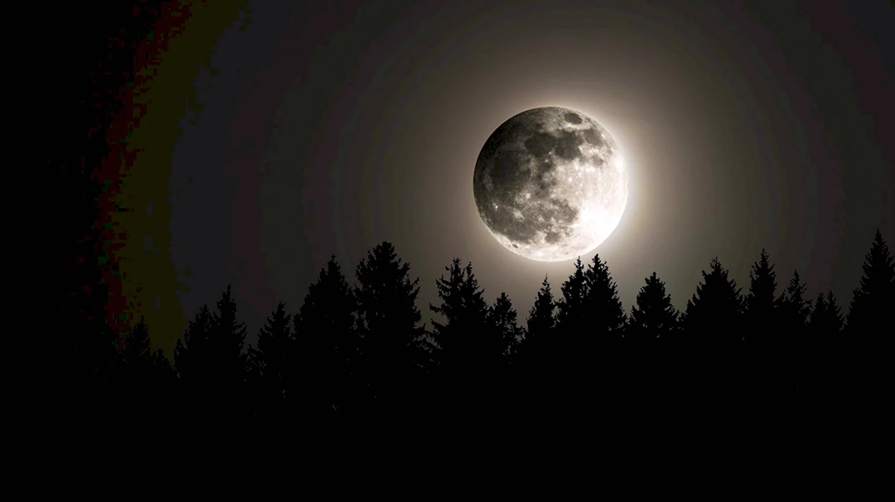 Ночь Луна. Красивая картинка