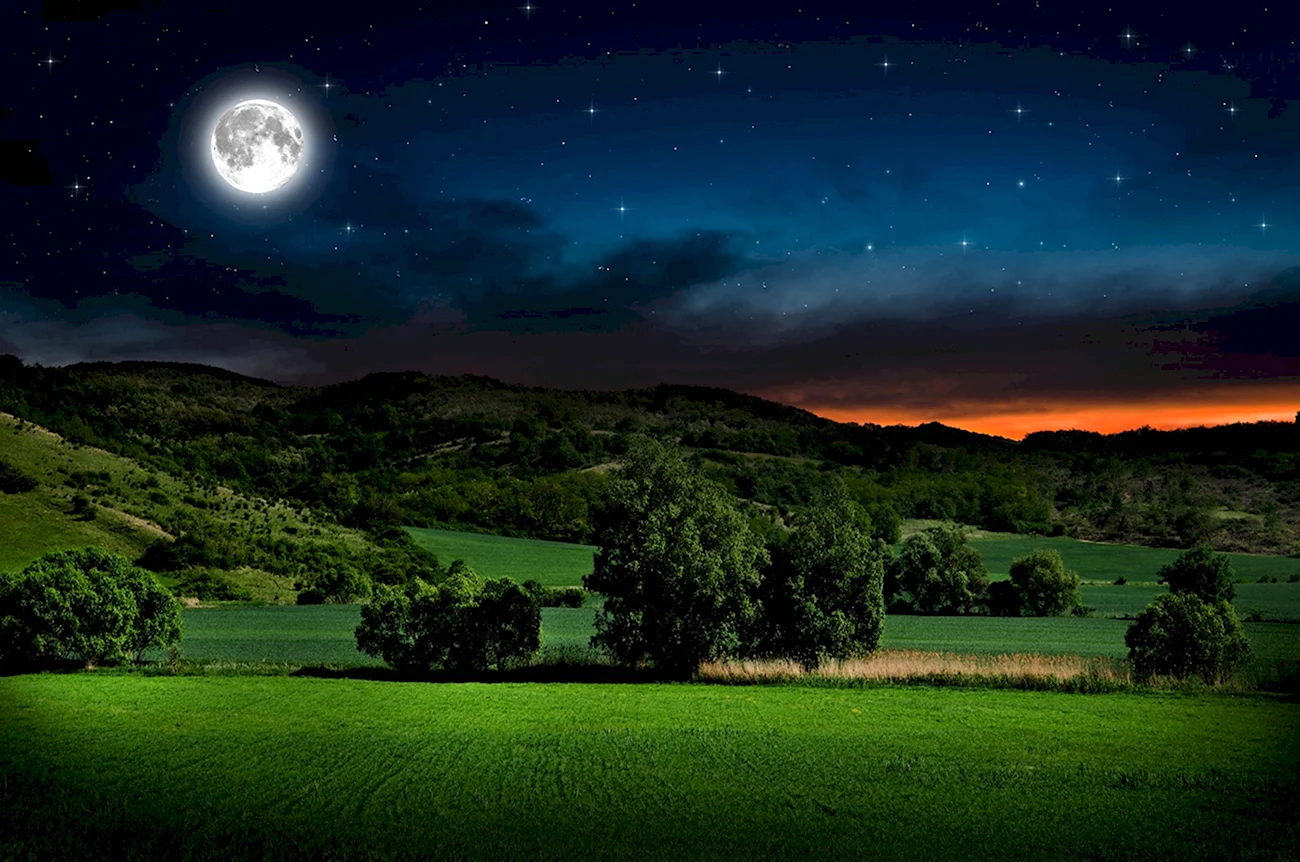 Ночная природа. Красивая картинка