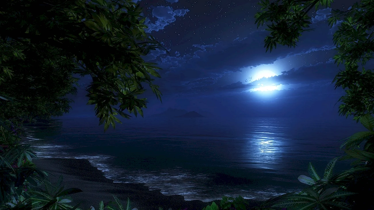 Ночной пляж. Красивая картинка