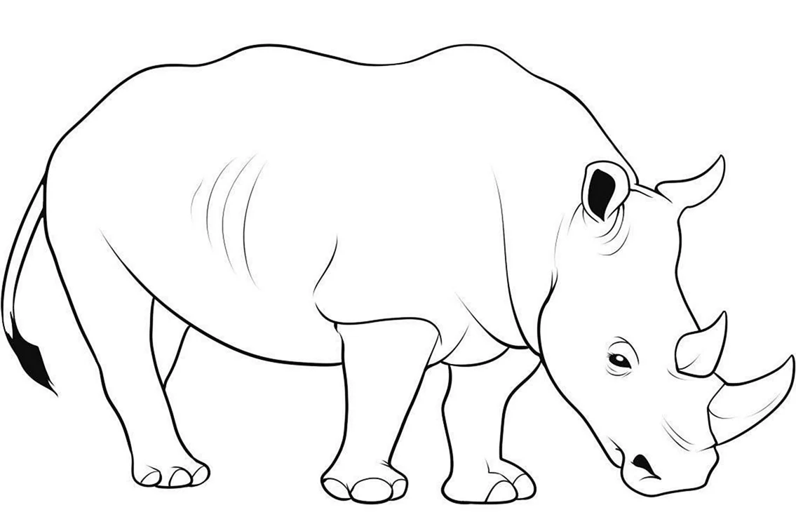 Носорог рисунок карандашом. Для срисовки