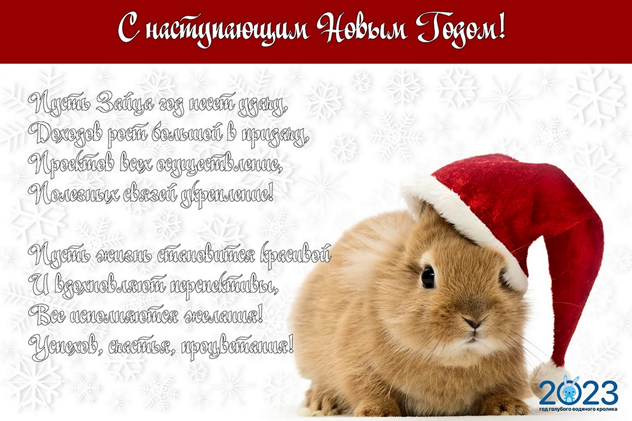Новогоднее поздравление с годом кролика. Поздравление